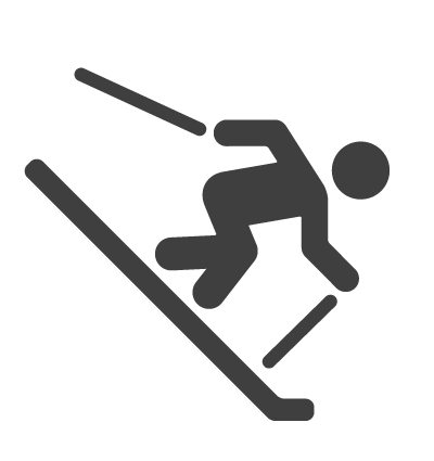 SkiIcon